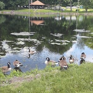 Meet your Posher, Asije